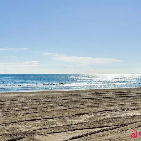 Concha Dorada *