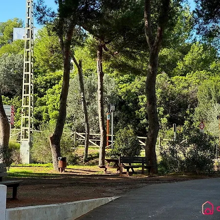 Concha Dorada Apartamento *